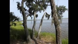 COMBAHEE RIVER IN THE ACE BASIN