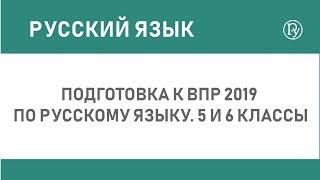 Подготовка к ВПР 2019 по русскому языку. 5 и 6 классы