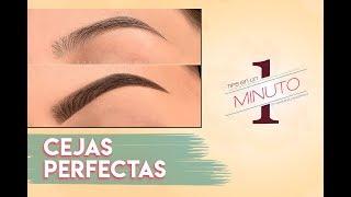 Como Maquillar las Cejas | Cejas Perfectas