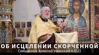 О скорченности и стремлении ввысь — прот. Алексей Уминский, проповедь 11.12.22