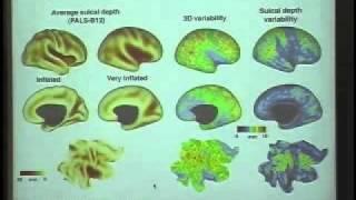 Structure, function, and development of cerebral cortex: neuroimaging - David van Essen