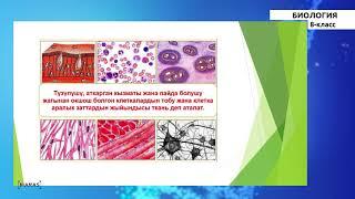 8 класс - КГ - Биология -№3 - Тиричилик процесстеринин тейлениши (жөнгө салынышы)