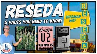 Reseda: 5 Facts You NEED to Know!