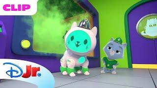 The Robot Cat Builder  | Pupstruction  | Disney Jr. MENA