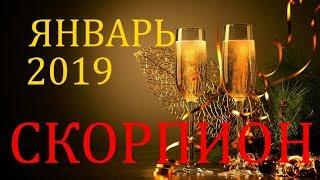 СКОРПИОН. ТАРО-ПРОГНОЗ на ЯНВАРЬ 2019год.