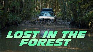 Lost In The Forest | Jeep Gladiator & Toyota Landcruiser Off-Road Adventure