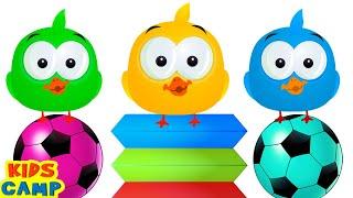  Colors For Kids | Learn Colors With Five Ducks | Toddler Learning Video