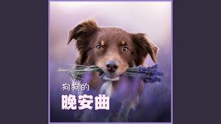 讓狗狗安靜下來