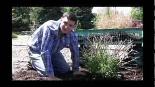 How to Mulch, Mulching Tips and Info Video