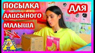 ПОДАРОК для Алисы / ЧТО ПРИСЛАЛИ в Посылке? / Распаковка / Alisa Easy Pets