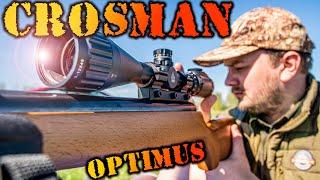 ВИНТОВКА ПНЕВМАТИЧЕСКАЯ CROSMAN OPTIMUS / ОБЗОР/ ПРИСТРЕЛКА / КУЧНОСТЬ