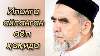 Илонга айланган аёл ҳақида - Шайх Муҳаммад Содиқ Муҳаммад Юсуф | Ilonga aylangan ayol haqida