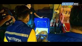 Pattaya police raid beer bar for illegally selling Kratom drinks.