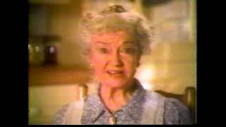 1988 Gourmet Pride ad with ex-Cup O' Noodles spokeswoman