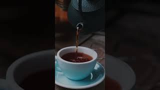 Pouring Tea - Stock Video Free To Use HD 4K