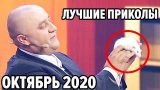  Дизель Шоу 2020 - Самые Лучшие Приколы - Октябрь 2020 | ЮМОР ICTV