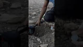 coin hunter