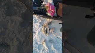 Рыбалка на амуре.08.12 #рыбалка #рыбалкавидео #fishing #рыболовная #рыба