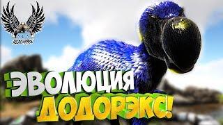 Выращиваем Мега ДодоРэкс!  - Ark Survival Evolved: Ark Comes Alive #11