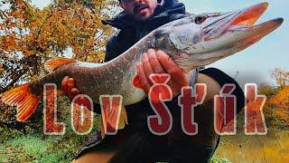 Lov Šťúk/Lov Šťiky/ Lov Nástražiek/Lov na Rybku/Prívlač na Šťuku/#raubfisch #pikefishing