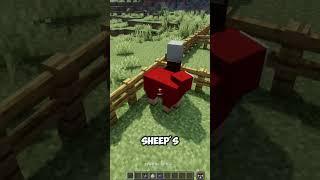 Fun facts about minecraft  #minecraft #fun #facts