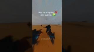 ukhty bercadar cantik naik kuda,VIRAL masyaallah#shorts #viralshorts #ukhti#kuda#viral#tiktokviral