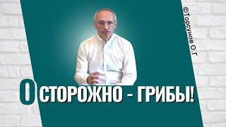 Осторожно, - Грибы! Торсунов лекции