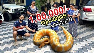 അയ്യോ.. പാമ്പ്.... | Surprised My Family With a “REAL” Python