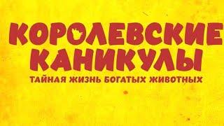 Королевские каникулы / 2019 / Мультфильм