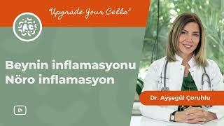 Beynin inflamasyonu ve Nöro inflamasyon | Dr. Ayşegül Çoruhlu