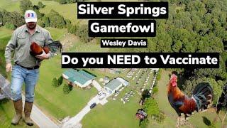 Wesley Davis (What to do if you don't vaccinate)