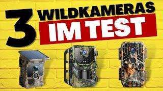 Die BESTEN Wildkameras (2024) - TESTSIEGER im Vergleich!