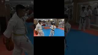 kyokushin karate training session #kyokushinway #shorts