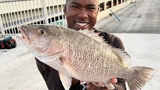 SECRET Bridge Technique for BIG SNAPPER! (FL Keys Bridge Fishing)