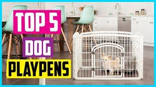  Top 5 Best Dog Playpens In 2024 Review