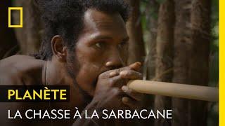 Apprendre à chasser à la sarbacane