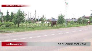 Сельский туризм становится всё популярней в Иркутской области