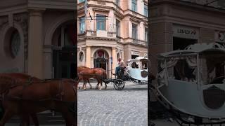 Львів: місто легенд та кави #lvivcitywalk #streetphotography #lwów #lemberg #львів #europe #lviv