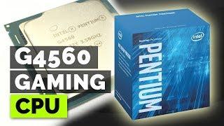 Intel Pentium G4560. Unboxing and review in हिंदी for Indian Gamers.