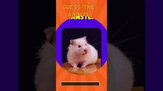 Guess the Animal by Emoji Challenge | Emoji Quiz