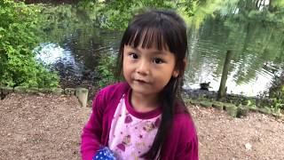 Feeding duck at the pond with Audrey Yung - I am Audrey 20180831