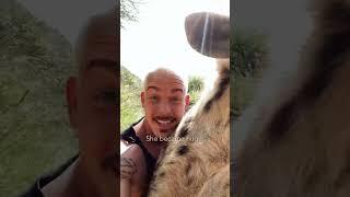 Dean Schneider, a wildlife fan, became friends with a hyena | Hyenas | Wild Animals #hyena #animals