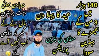 Northern bypass mandi Karachi Cattle Rates Update️ || 8 june 2025 || Cow Mandi 2025 
