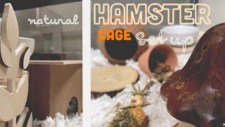 setting up our hamster enclosure - natural hamster cage setup + diy hamster hideouts