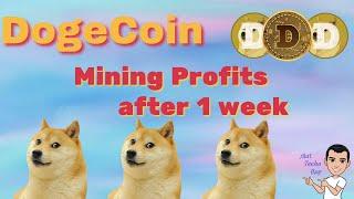 DogeCoin Mining Profits in 1 Week using unMineable | Was it worth it?