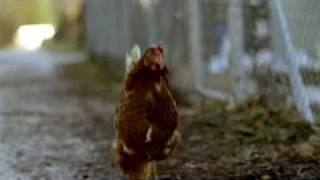 Jung von Matt/Limmat: Migros TV Spot Huhn "Chocolate"