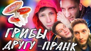 ПОДСЫПАЛ ГРИБЫ ДРУГУ ПРАНК- ДРУГА УШАТАЛО