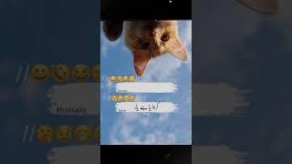 Rabail And Hussain // funny video// new full funny // Adeel Rajput// addi6573 tiktok Account........