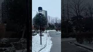 Snowy Morning of Toronto #toronto #travel #torontotravelguide #snow