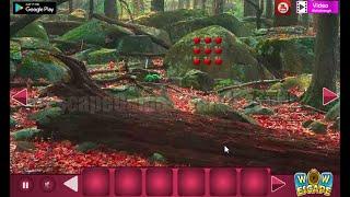 WOW Transpicuous Forest Escape Walkthrough [WowEscape]